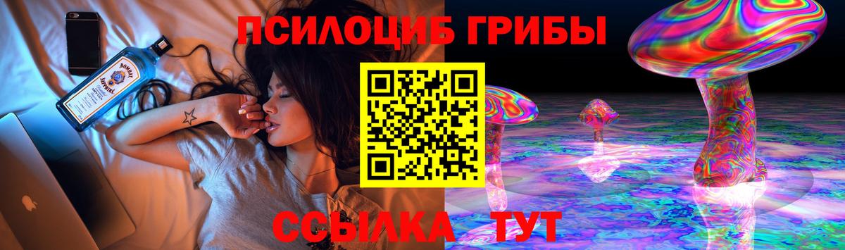 Псилоцибиновые грибы Psilocybe  Вход с VPN  Коломна 